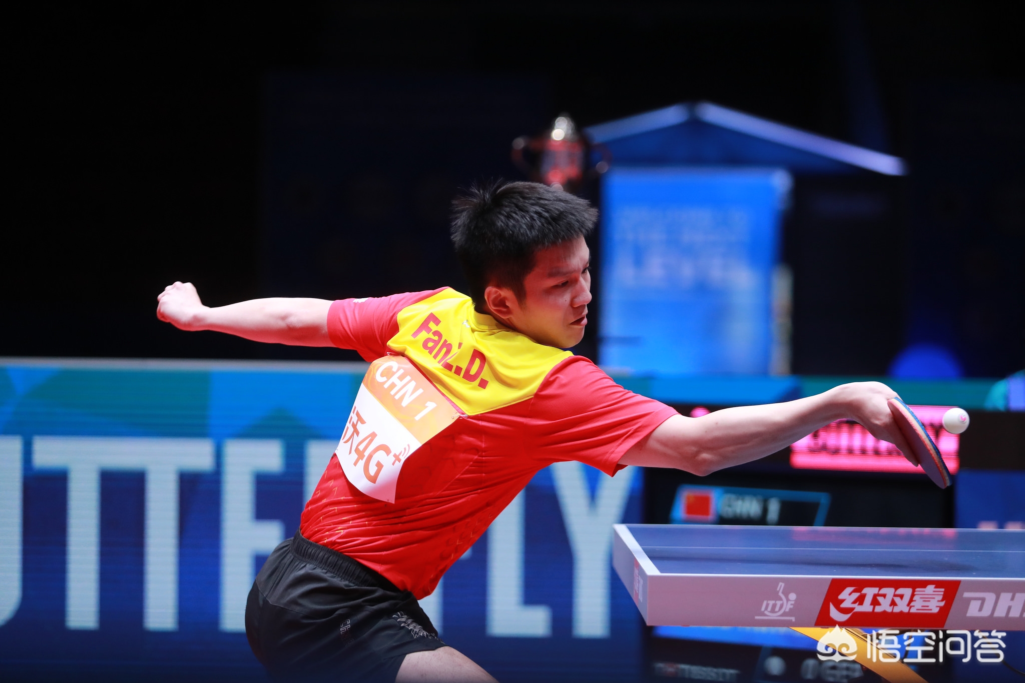 他们不仅补 他们不仅补